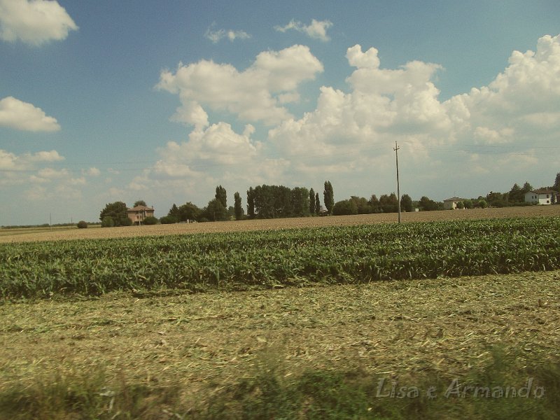 verso felonica 662.JPG